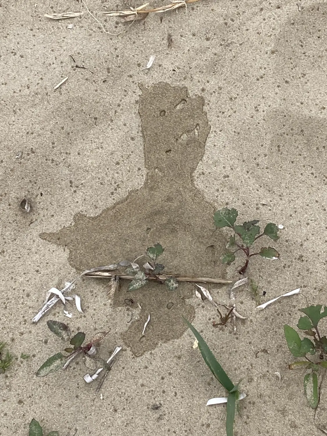 Wasser auf dem Boden Klaus Lang